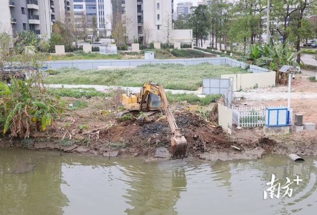 横涌港口镇段施工现场。