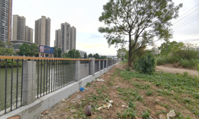 川上云帆·运河阅读园建设前。