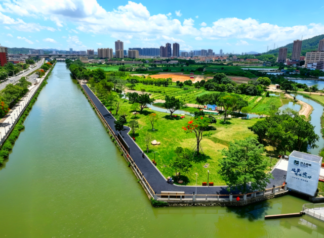 川上云帆·运河阅读园建设后。