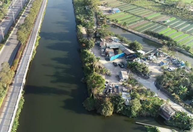 川上云帆·运河阅读园建设前。